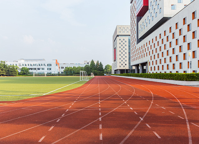 【塑胶跑道系列】混合型塑胶跑道